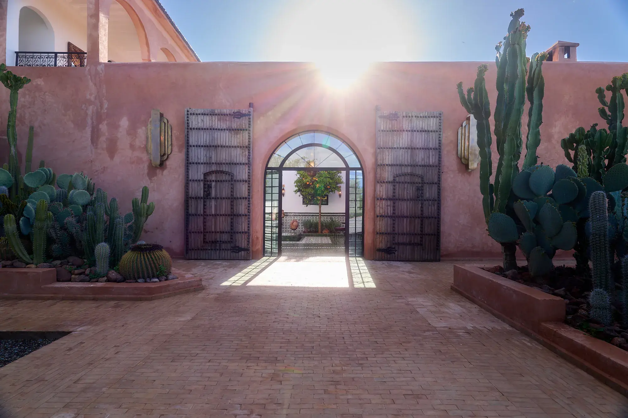 Cactus in the Villa Yemna garden background