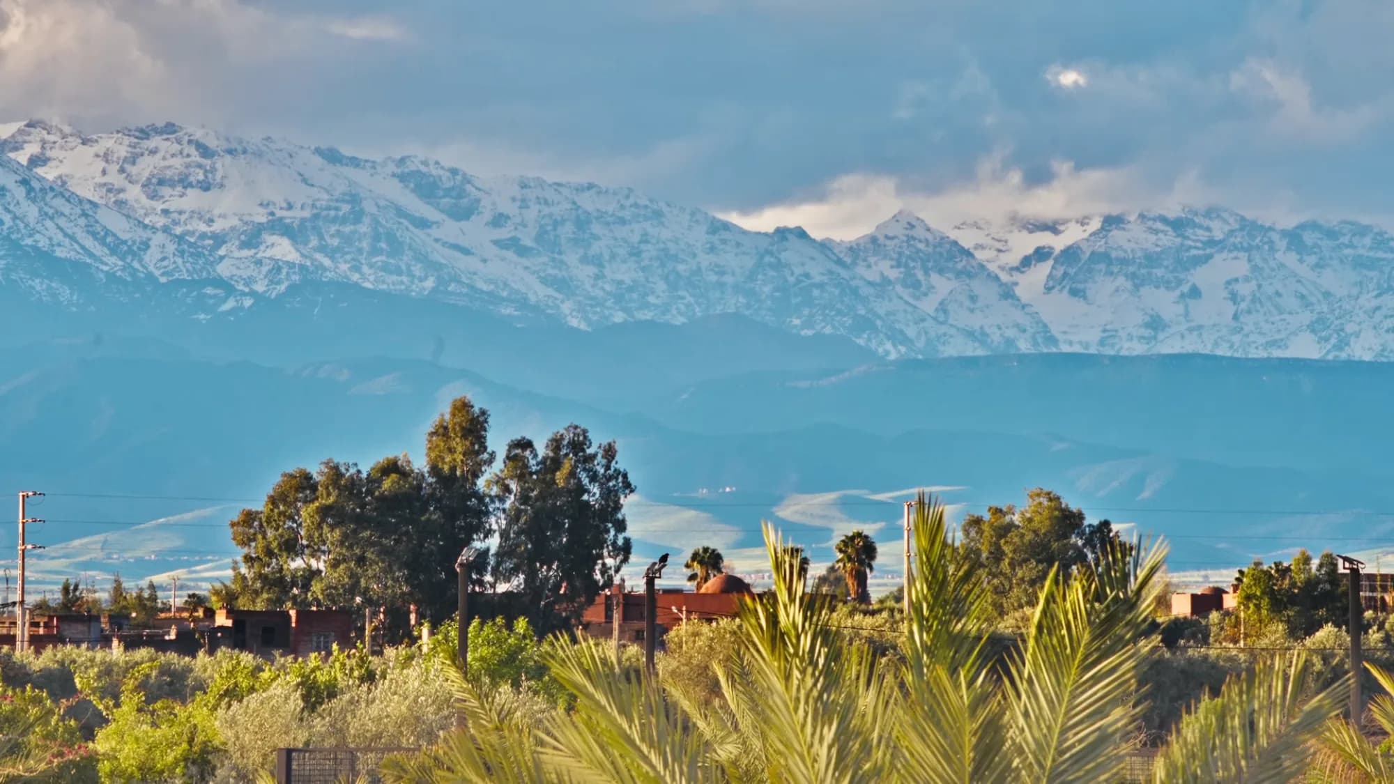 Panorama depuis Villa Yemna à Marrakech sur les montagnes de l’Atlas enneigées, palmiers dattiers et oliveraie en premier plan.