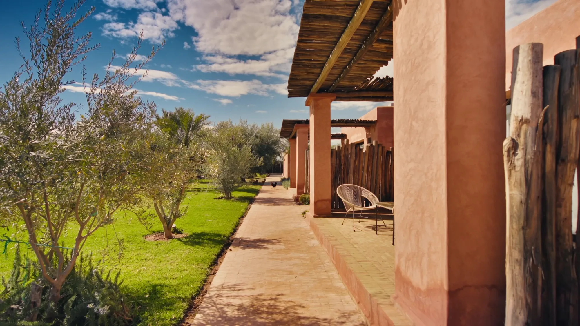 Pergola en roseaux d'une suite bungalow de Villa Yemna à Marrakech avec chaise en rotin, oliviers et pelouse.
