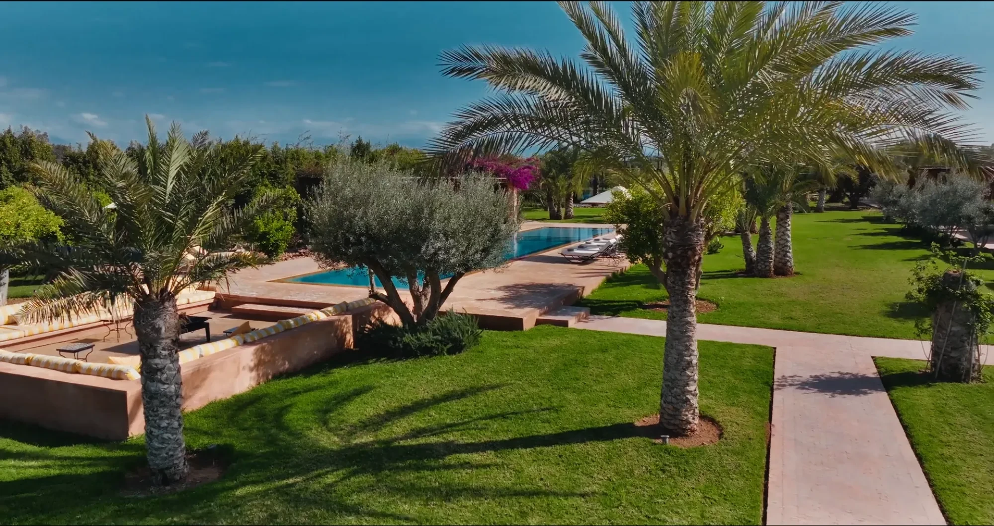 Vue sur la piscine de Villa Yemna à Marrakech à travers les palmiers dattiers, avec pelouse et bougainvilliers fuchsia.