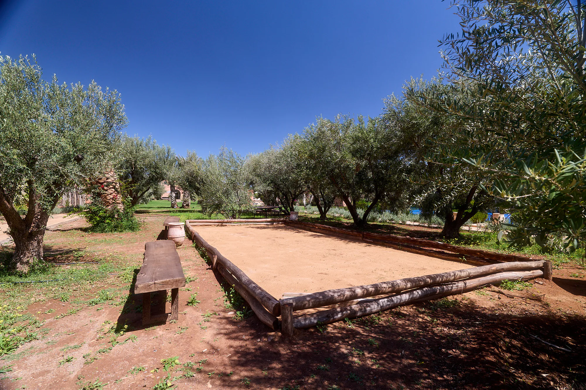 Terrain de pétanque de Villa Yemna sous les oliviers, avec bancs en bois, bordures naturelles et ciel bleu de Marrakech.