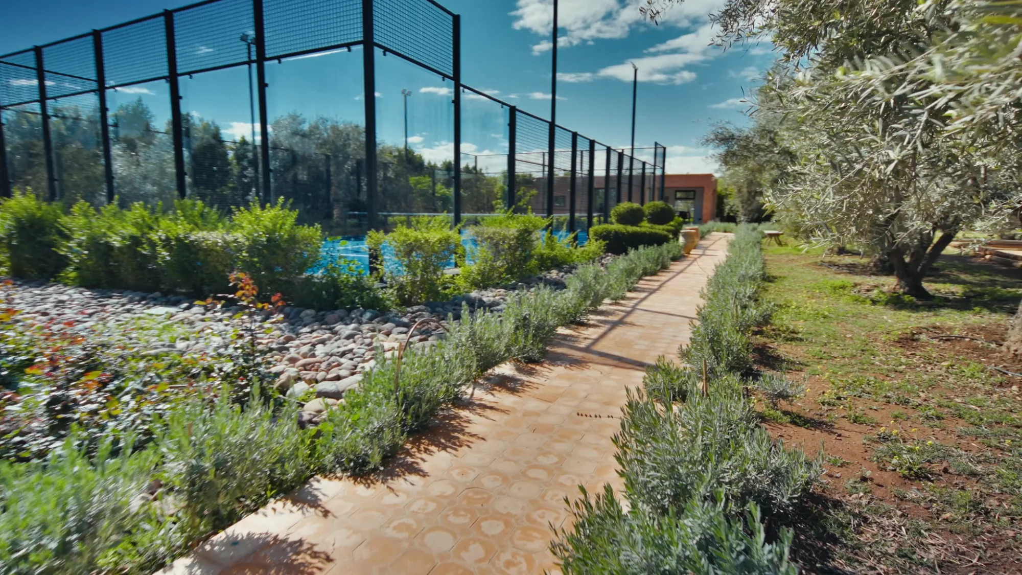 Allée d'approche vers le terrain de padel privé de Villa Yemna à Marrakech, bordée d'oliviers, de lavandes et de galets décoratifs.